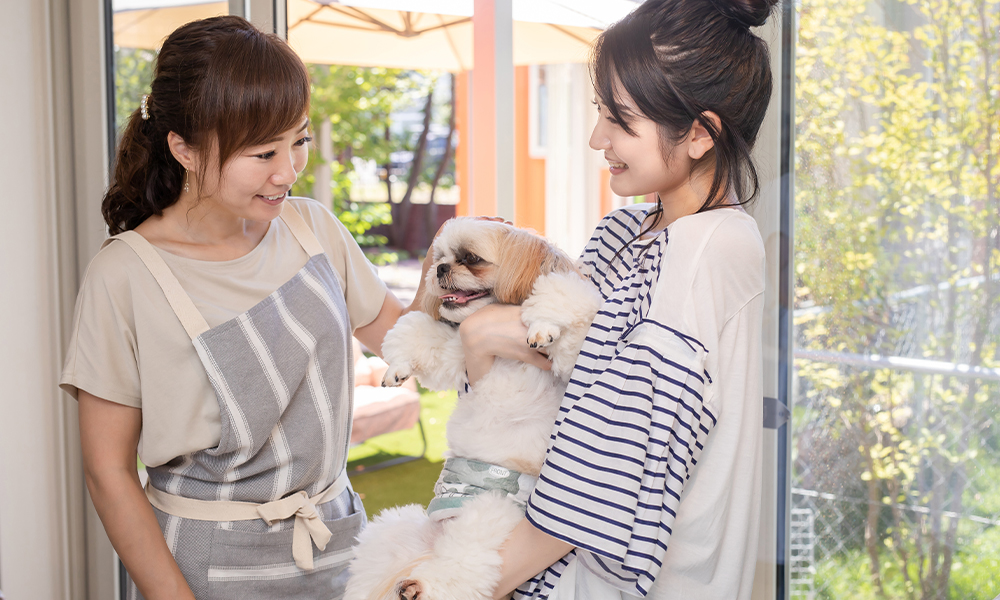 愛犬との生活相談