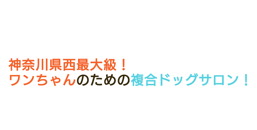 ワンちゃんのための複合施設