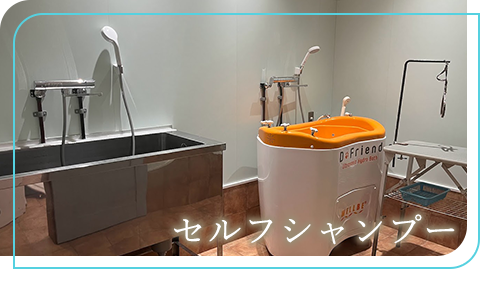 セルフシャンプーお問い合わせ