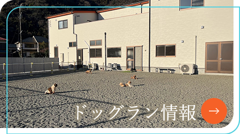 ドッグラン情報