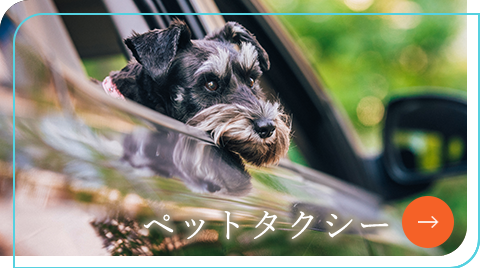 ペットタクシー